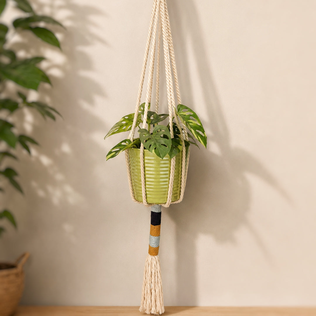 Crée ta suspension pour plante en macramé (100% débutants)